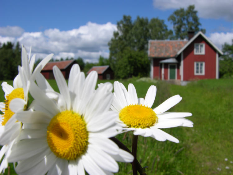 Den Garten für den Sommer vorbereiten mit einem Gartenhaus