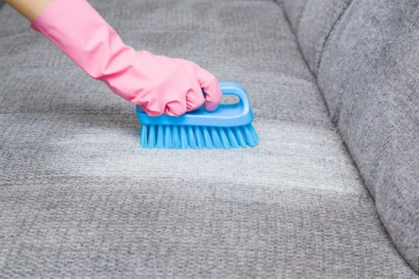 Sofa welches mit einer Bürste gereinigt wird